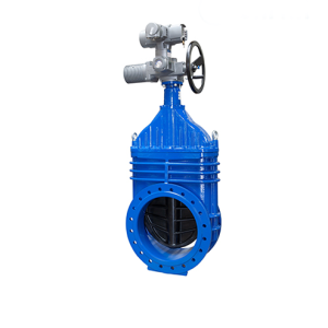 Van cổng hai mặt bích truyền động motor điện