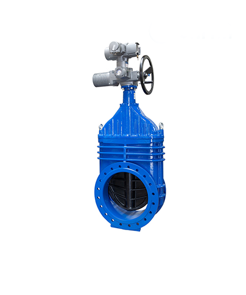 Van cổng hai mặt bích truyền động motor điện