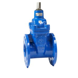 Van cổng ty chìm hai mặt bích