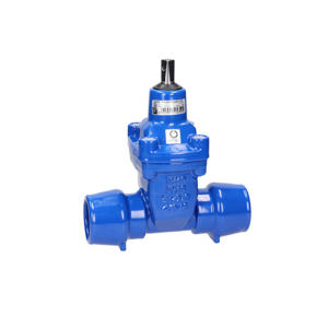 Van cổng ty chìm EE